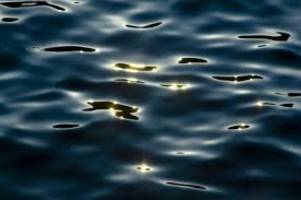 Dark-Pool Trading Danger